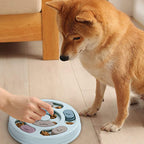 Beginner Puzzle Feeder for Slow Feeding – Puzzle Feeding Bowl