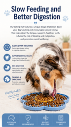 Flower Dog Lick Mat — additional product view 16 of 34