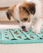 Suction Lick Mat for Dogs