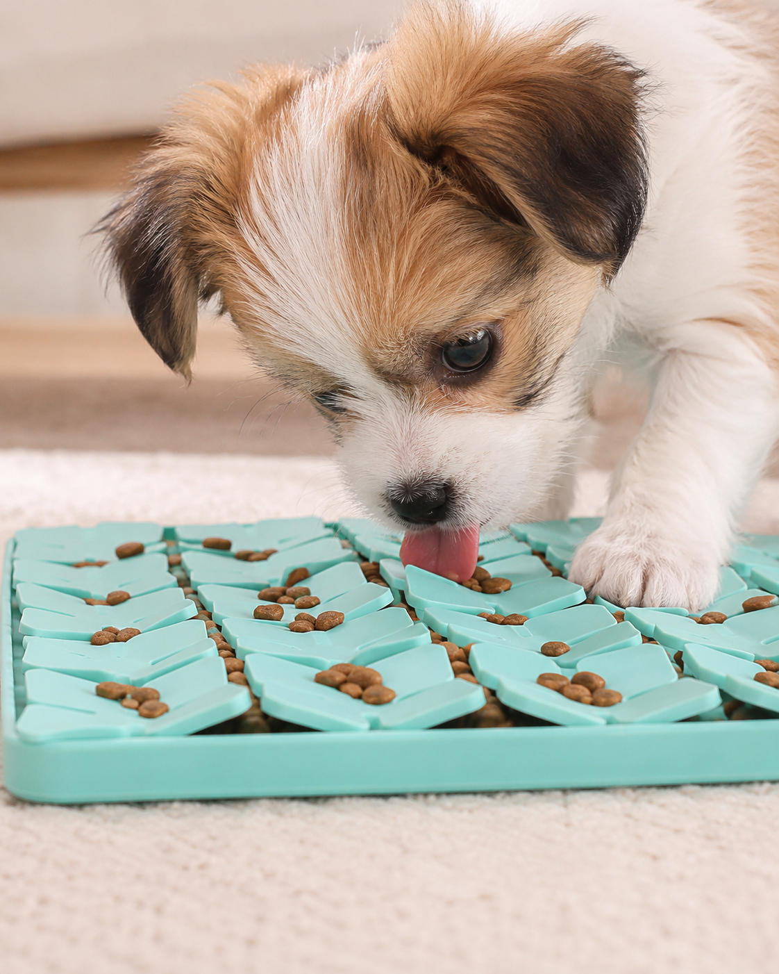Suction Lick Mat for Dogs