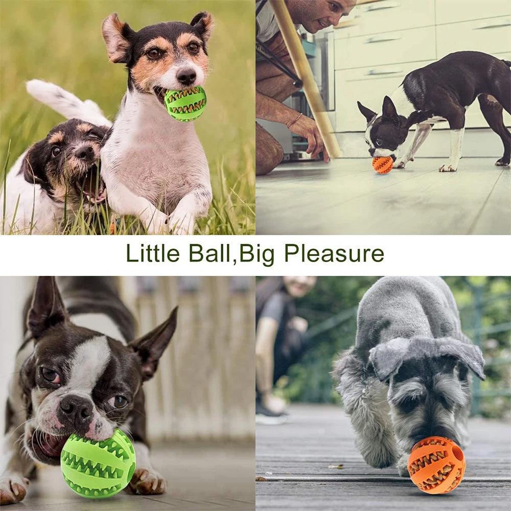 Treat-Dispensing Puzzle Ball for Dogs