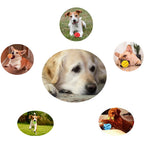Treat-Dispensing Puzzle Ball for Dogs — additional product view 7 of 20