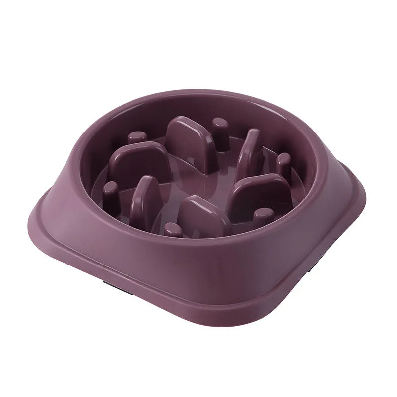 Everyday Slow Feeder Bowl for Dogs