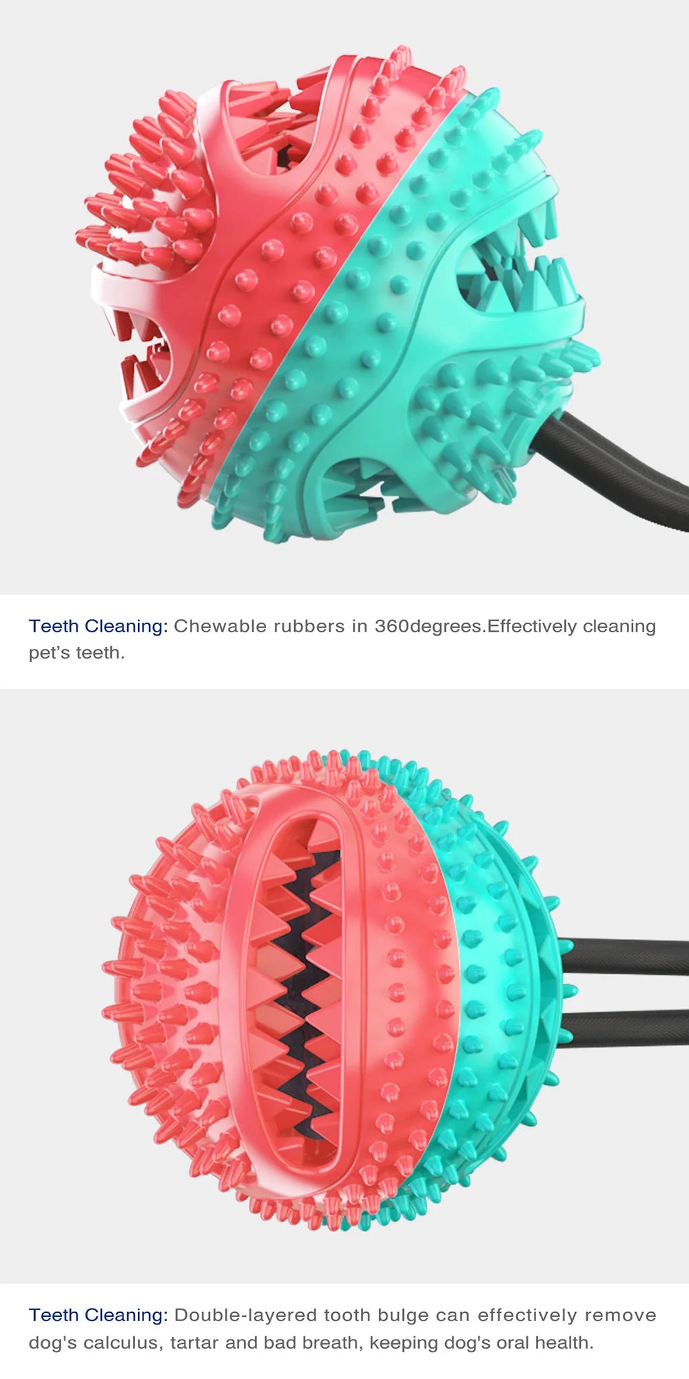Interactive Tug & Treat Toy