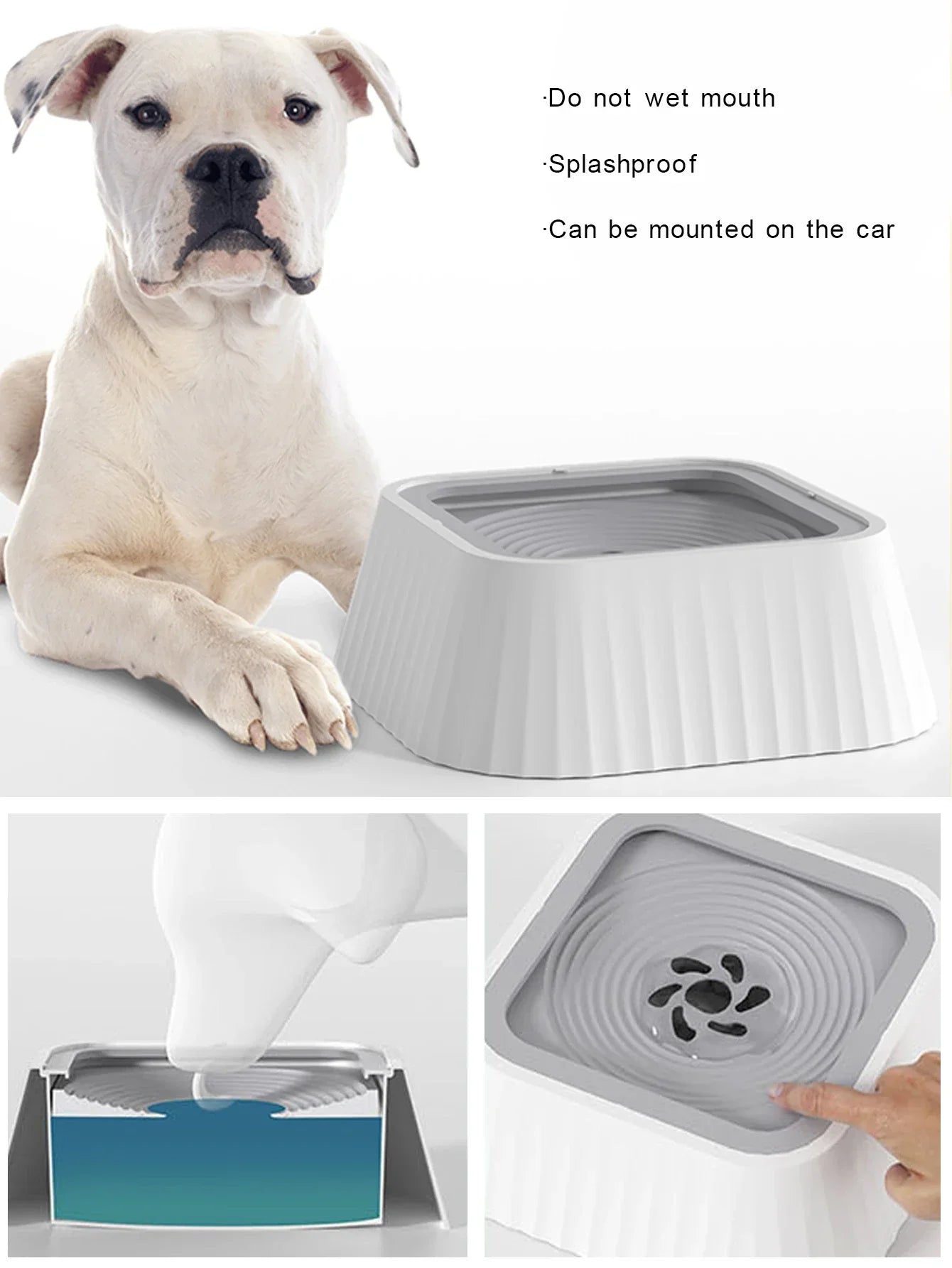 Floating-Plate Dog Water Bowl