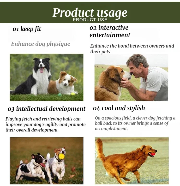 Outdoor Dog Ball Launcher