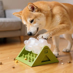 Rotating Dog Activity Spinner Puzzle