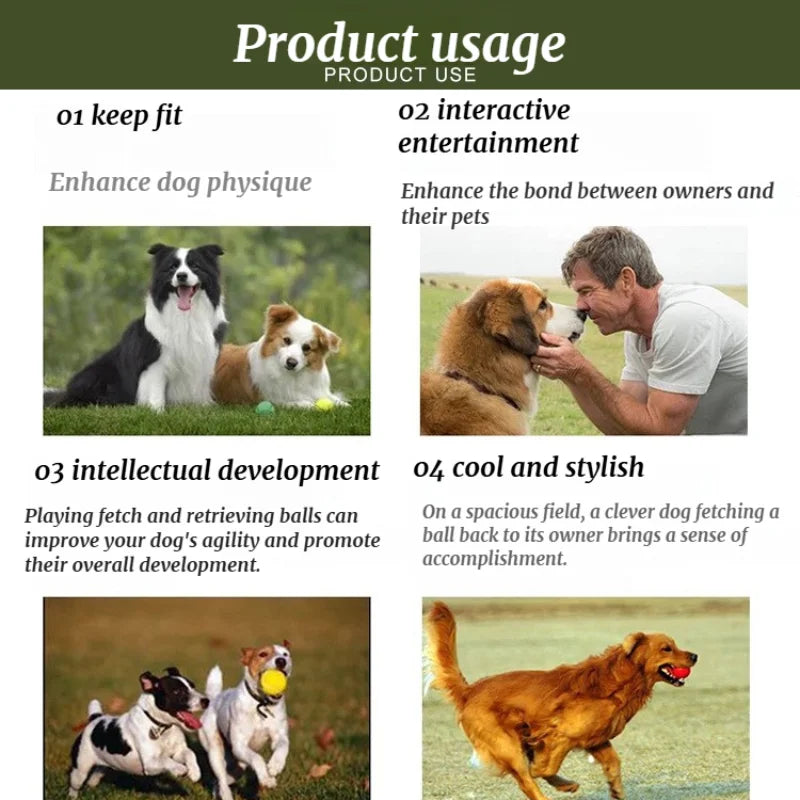Outdoor Dog Ball Launcher