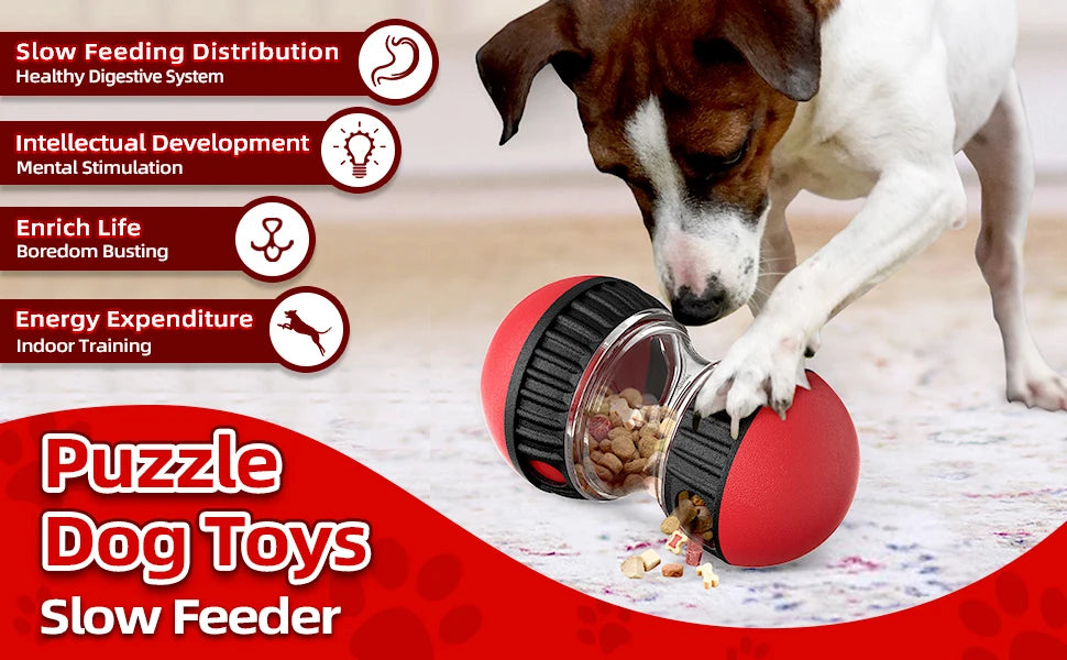 Elliptical Rolling Treat Dispenser