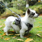 Dog Treat Pouch with Poop Bag Dispenser — additional product view 3 of 19