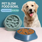 Slow Feeder Dog Bowl — additional product view 2 of 13