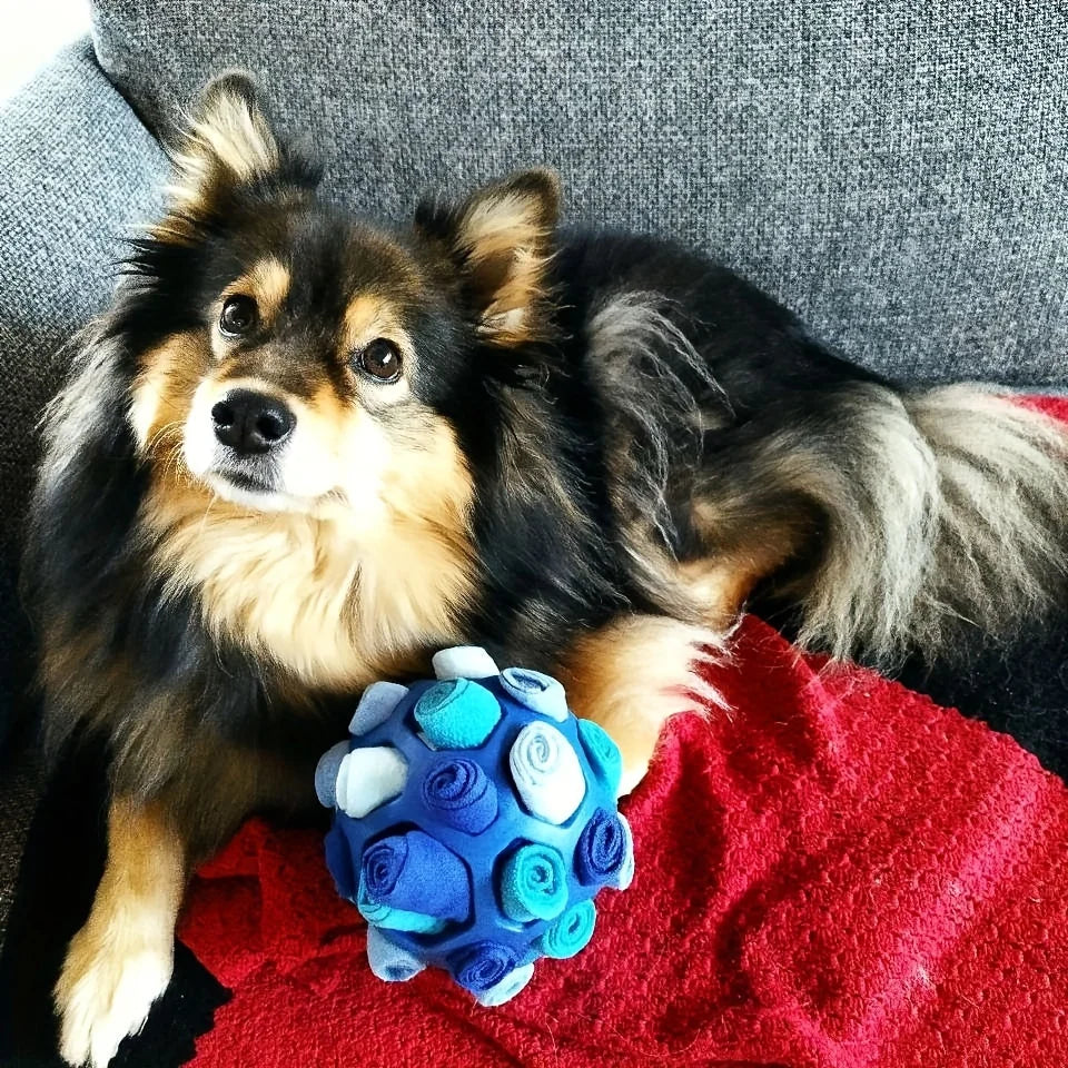 Snuffle Ball – Treat-Hiding Enrichment Toy for Dogs