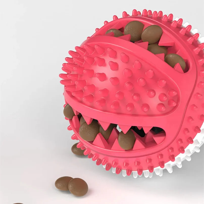Interactive Tug & Treat Toy