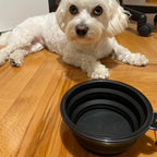 Collapsible Travel Dog Bowl — additional product view 5 of 17