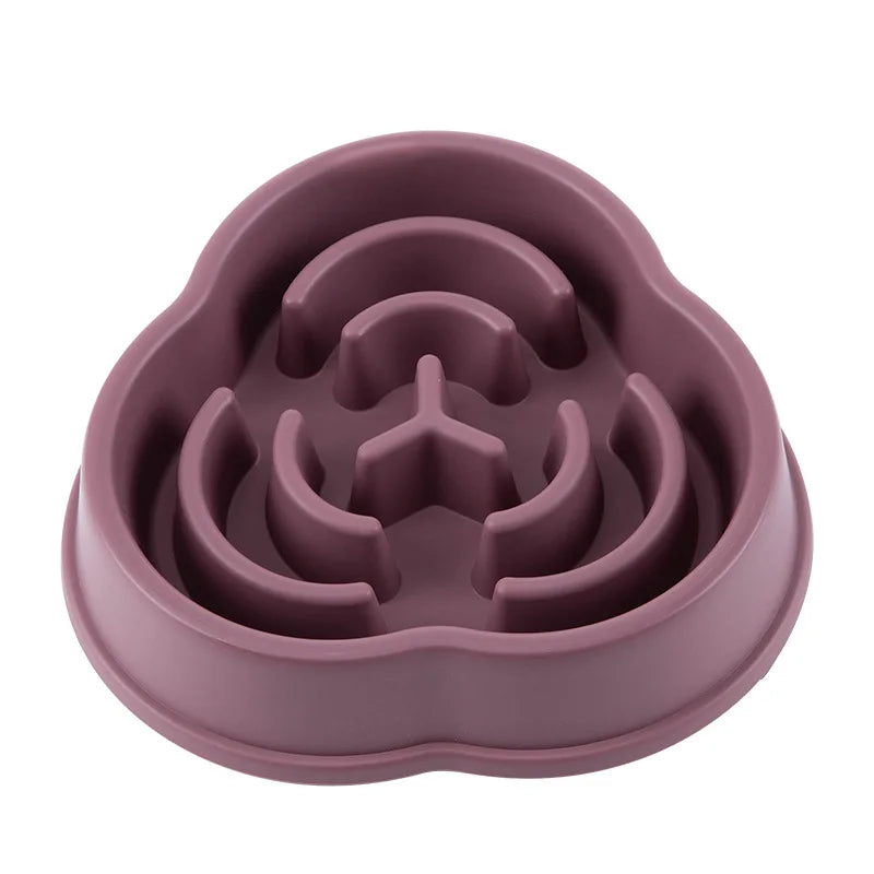 Everyday Slow Feeder Bowl for Dogs