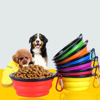 Collapsible Travel Dog Bowl