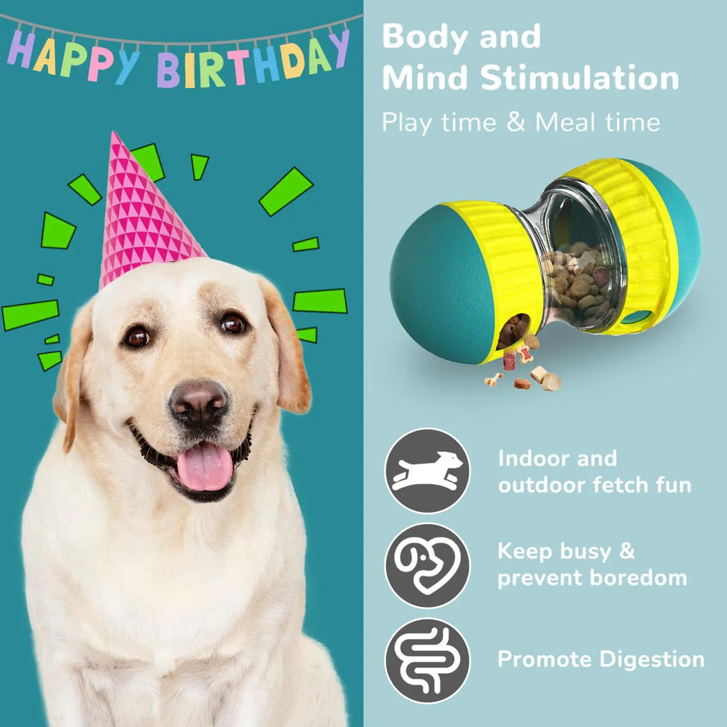 Elliptical Rolling Treat Dispenser
