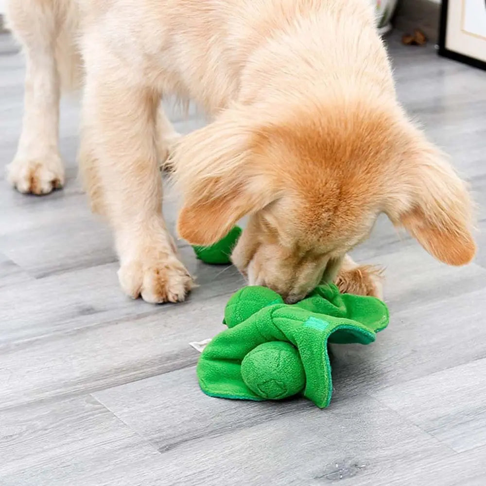 Pea Pod Hide & Seek Plush Treat Toy