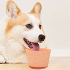 Slow Feeder Lick Bowl — additional product view 3 of 12