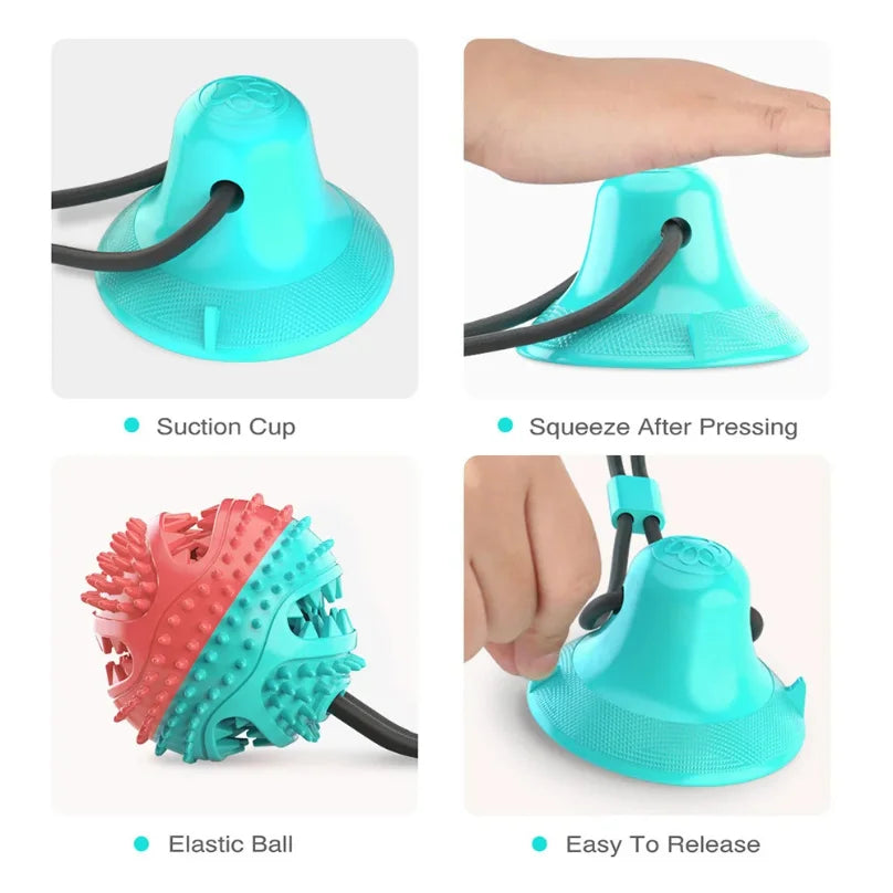 Interactive Tug & Treat Toy