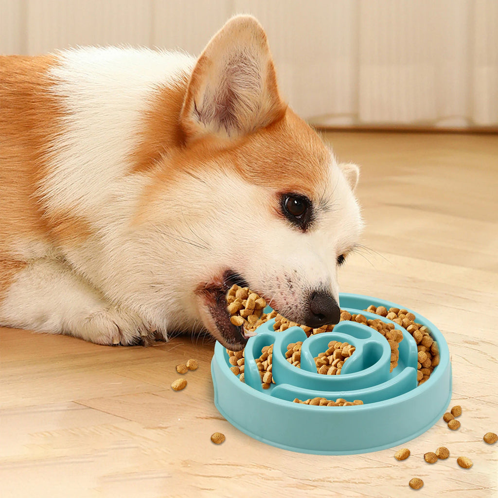 Macaron Slow Feeder Bowl for Dogs