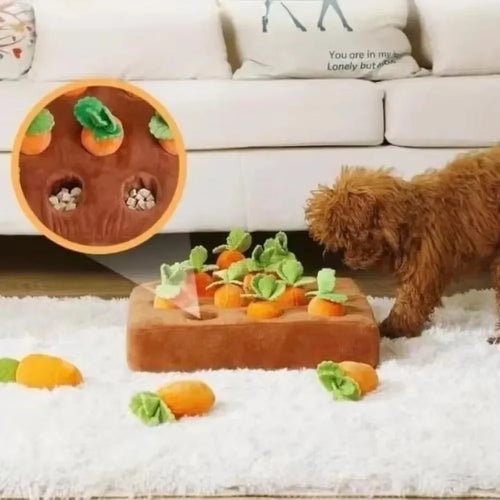 Carrot & Strawberry Patch Plush Treat Toy