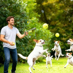 Outdoor Dog Ball Launcher — additional product view 5 of 12