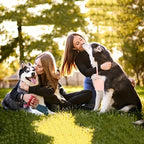 One-Hand Dog Treat Pouch — additional product view 14 of 20
