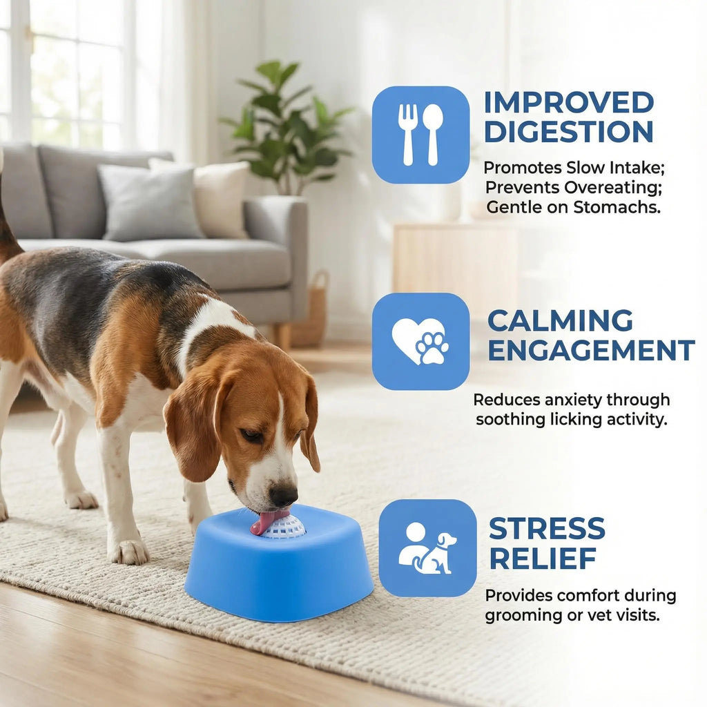 Slow Lick Enrichment Bowl for Dogs