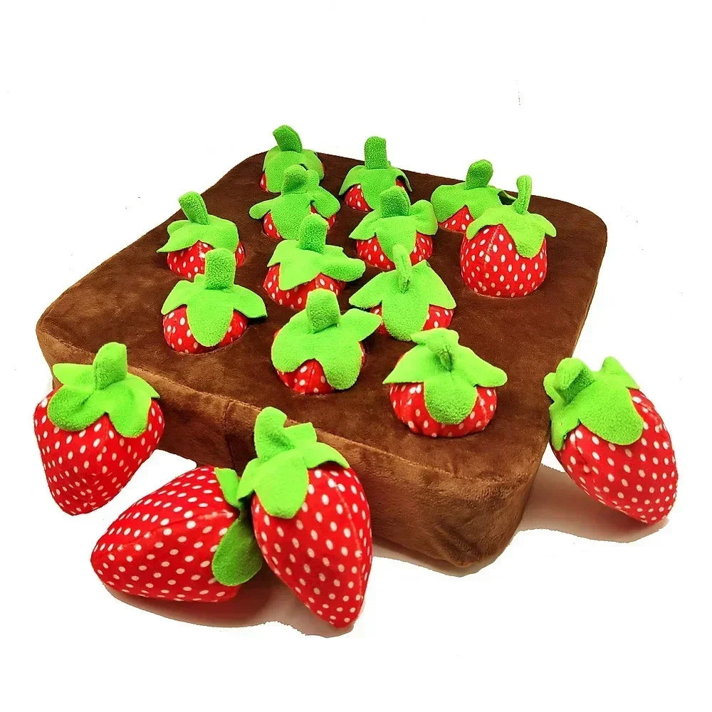 Carrot & Strawberry Patch Plush Treat Toy