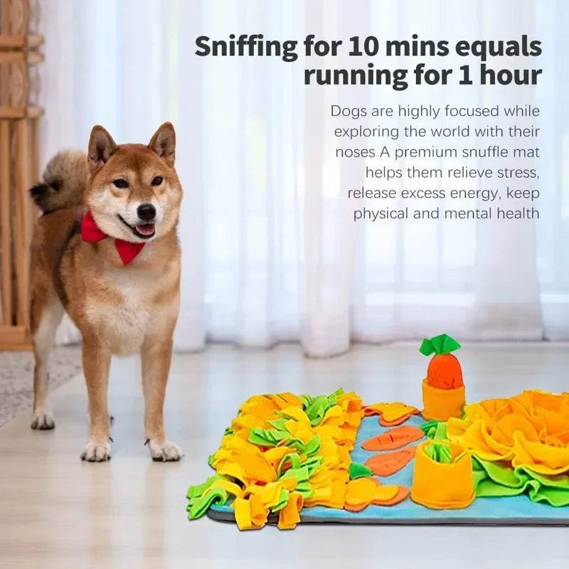 Deluxe Snuffle Mat for Slow Feeding & Indoor Enrichment