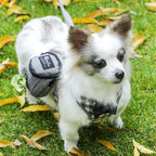 Dog Treat Pouch with Poop Bag Dispenser — additional product view 9 of 19