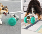 Rolling Treat Dispenser Toy — additional product view 6 of 11
