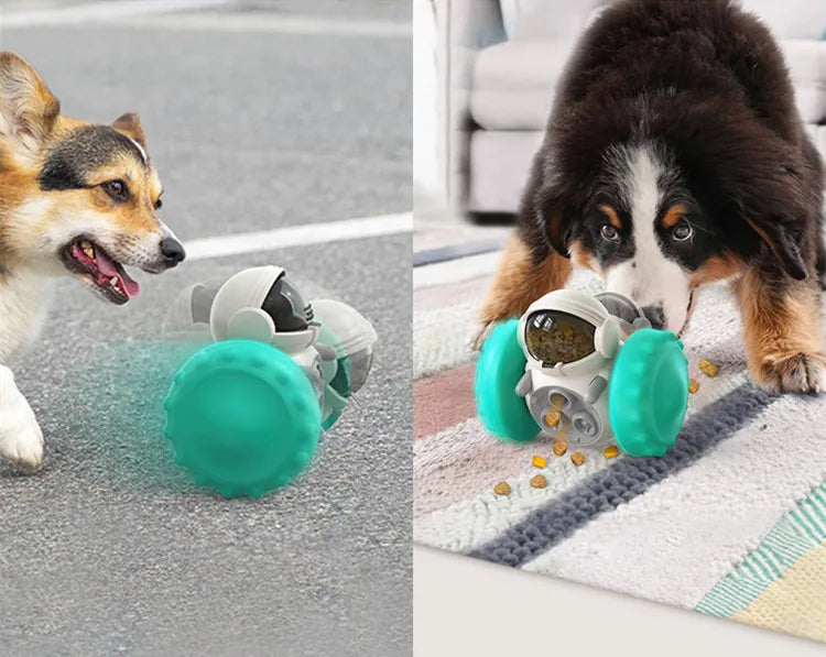 Rolling Treat Dispenser Toy