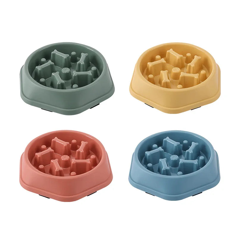 Everyday Slow Feeder Bowl for Dogs