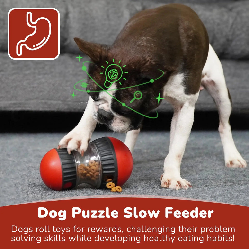 Elliptical Rolling Treat Dispenser