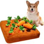 Carrot & Strawberry Patch Plush Treat Toy