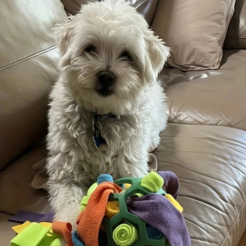 Snuffle Ball – Treat-Hiding Enrichment Toy for Dogs