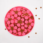 Flower Dog Lick Mat — additional product view 9 of 16