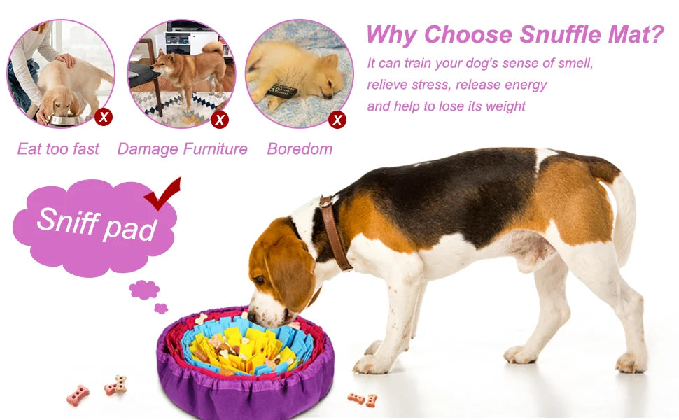 Snuffle Mat – Slow Feeding & Indoor Enrichment for Dogs