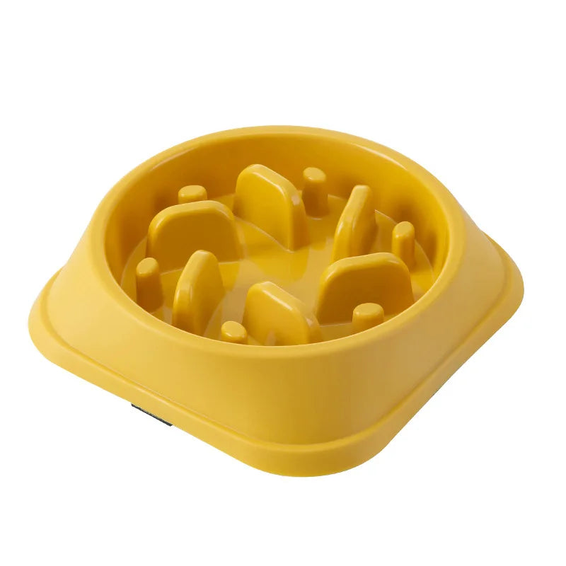 Everyday Slow Feeder Bowl for Dogs