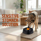 Slow Lick Enrichment Bowl for Dogs — additional product view 9 of 20