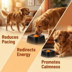 Slow Lick Enrichment Bowl for Dogs — additional product view 8 of 20