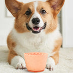 Slow Feeder Lick Bowl — additional product view 6 of 12