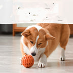 Treat-Dispensing Puzzle Ball – Rolling Dog Enrichment Toy