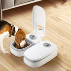 Covered Dog Meal Feeder – Single & Double Portion Food — additional product view 5 of 16
