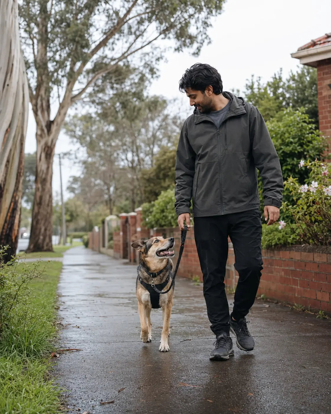 A dog owner and dog walking together in an Australian neighbourhood