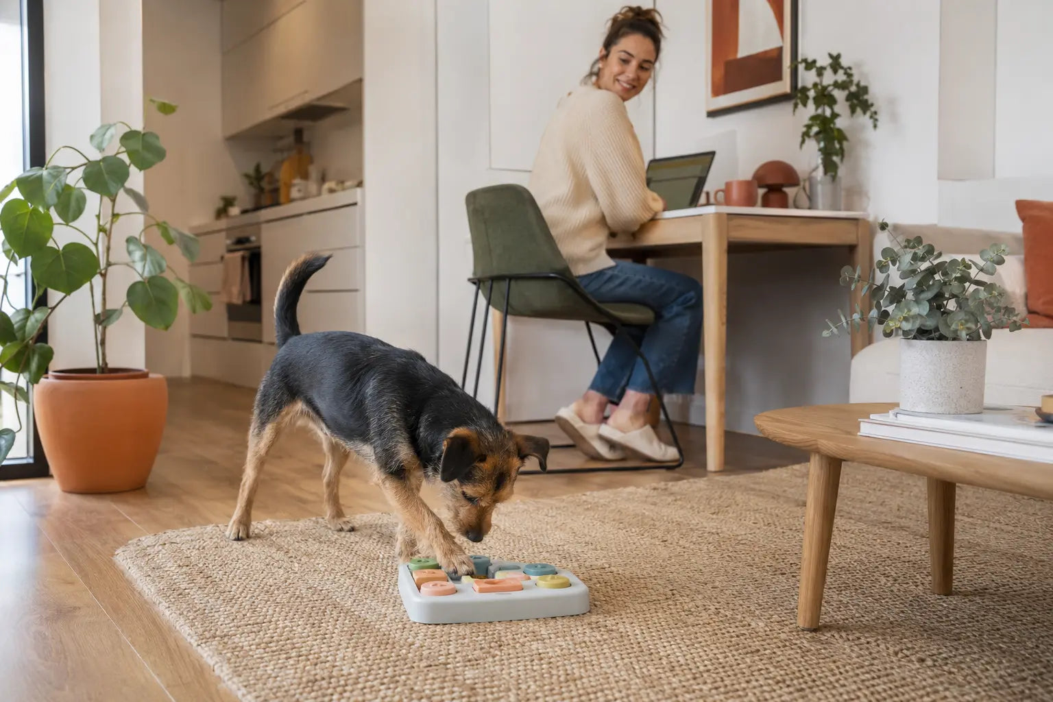 The time-poor apartment or small-home dog parent