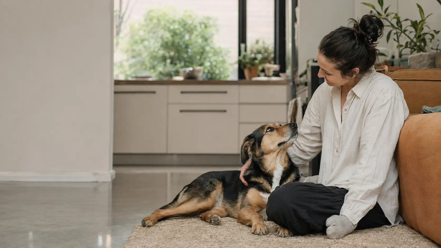 A dog and owner building trust together at home